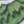 Vert / Blanc