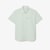 White / Green