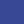 Muscari purple