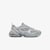 Grey / Silver