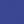 Muscari purple