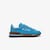 Blue / Brown
