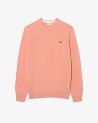 Einfarbiger Pullover aus Baumwolle mit Rundhalsausschnitt