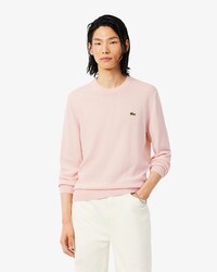 Einfarbiger Pullover aus Baumwolle mit Rundhalsausschnitt