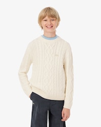 Pullover aus Wolle und Baumwolle mit Rundhalsausschnitt