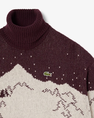 Pullover Archive Edition aus Jacquard mit gestreiftem Rollkragen