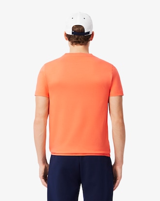 Pack Lacoste Tennis x Novak Djokovic