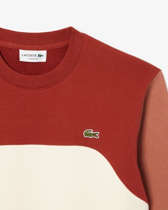 Sweatshirt aus Baumwollfleece, mit Colorblock-Design