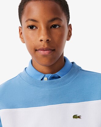 Sweatshirt aus Fleece mit Colorblock-Design