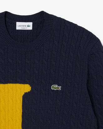 Pull maille torsad&eacute;e intarsia