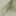 Khaki Groen / Groen