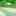GREEN AND SILVER