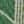 Groen / Beige