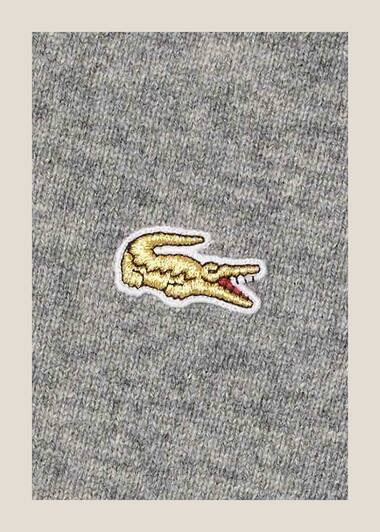 Lacoste x Comme des Garçons Shirt Cardigan and shorts