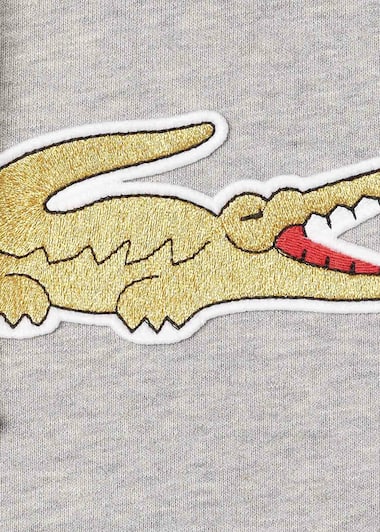 Lacoste x Comme des Garçons Shirt Hoodie