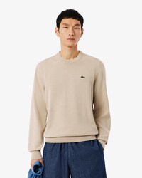 Einfarbiger Pullover aus Baumwolle mit Rundhalsausschnitt