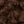 BROWN NOIR