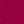 Rose Fushia