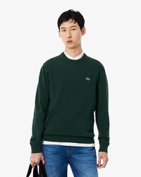 Einfarbiger Pullover aus Baumwolle mit Rundhalsausschnitt