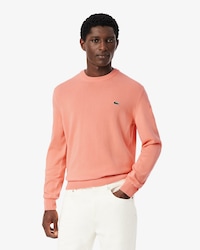 Einfarbiger Pullover aus Baumwolle mit Rundhalsausschnitt