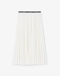 Long Pleated Elasticated Waist Skirt