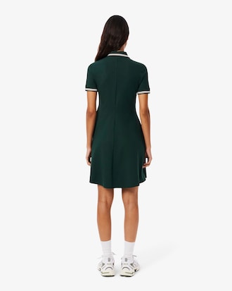 Stretch Polo Collar Skater Dress
