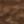 Brown / Gum