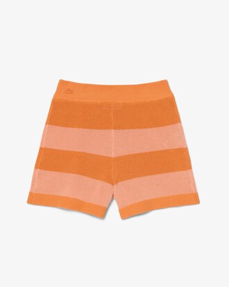 Striped Mesh Knit Shorts