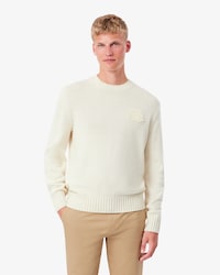 Pull jersey laine blason brod&eacute;