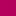 Rose Fushia