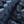 Bleu Nuit