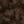 Marron Noir