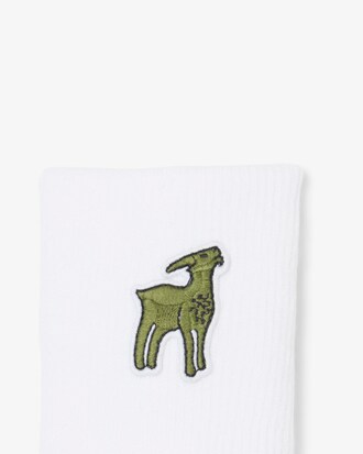 Polsini Lacoste x Novak Djokovic The GOAT