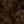BROWN NOIR