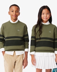 Pullover aus Wolle und Baumwolle mit Streifen