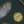 Vert / Bleu Marine / Blanc / Marron / Jaune