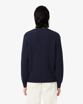 Intarsia Cable Knit Sweater