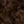 Brown Black