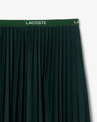 Long Pleated Elasticated Waist Skirt