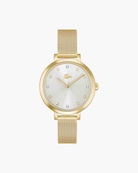 Riga Ion-Plated Stainless Steel Watch