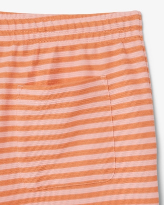 Regular Fit Striped Cotton Shorts