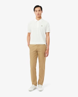 Regular Fit Cotton Chino Pants