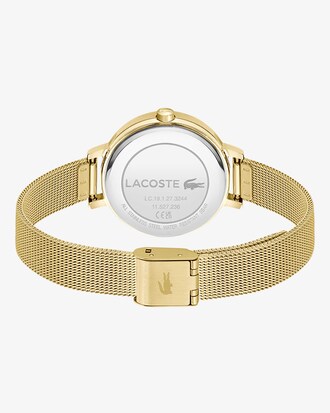 Riga Ion-Plated Stainless Steel Watch