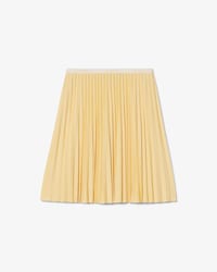 Short Pleated Skirt