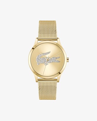 Crocodelle Steel Watch