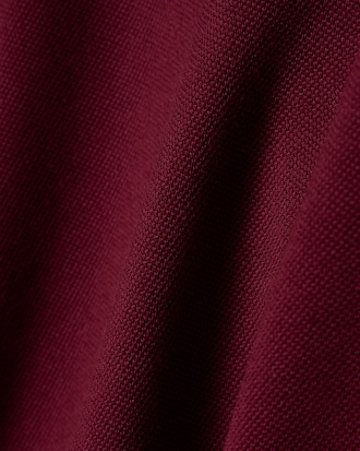 Camisa polo de petit piqu&eacute;