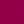 Rose Fushia