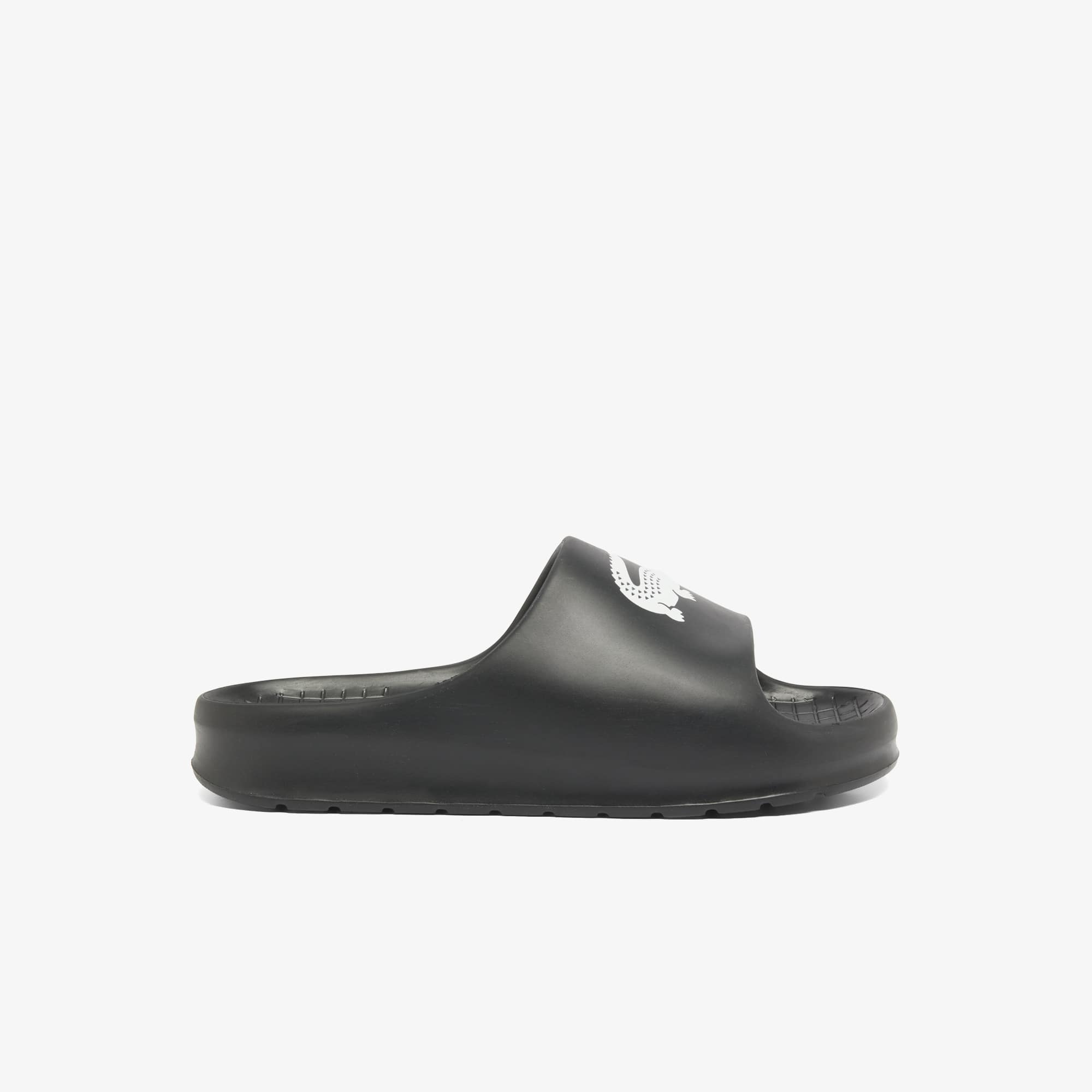 lacoste chanclas hombre