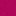 Rose Fushia