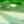 GREEN AND SILVER